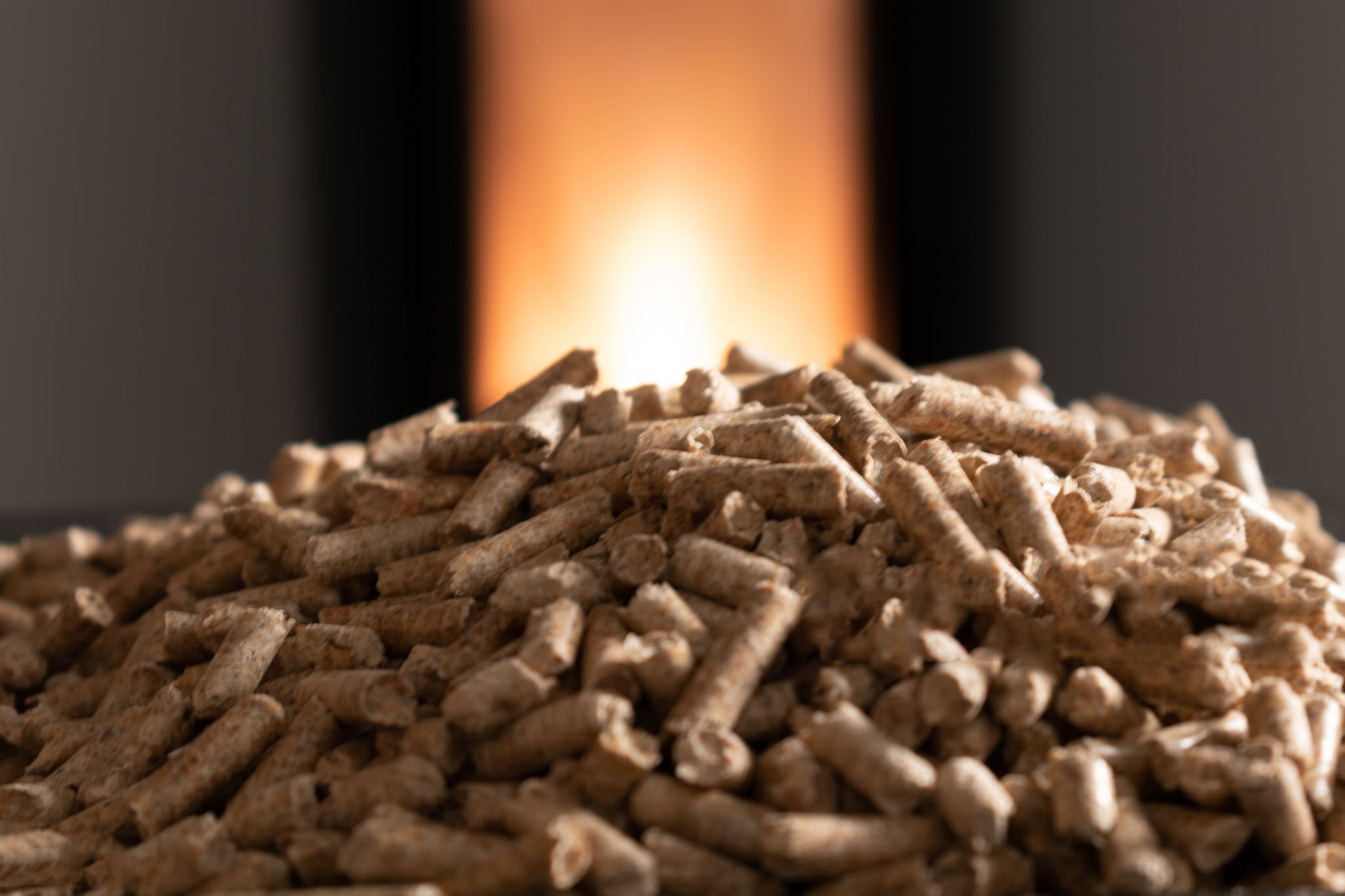 Modern domestic pellet stove, granules stove with flames